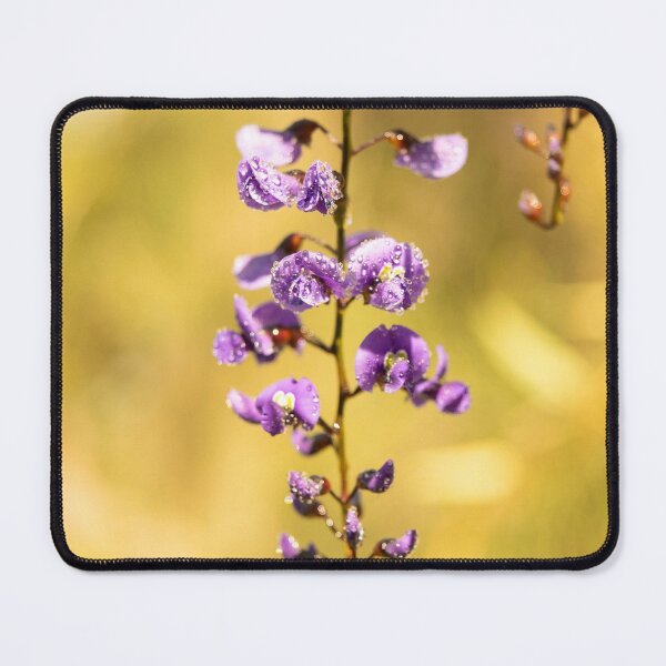 Item preview, Morning dewdrops on purple petals designed and sold by CandMe-Prints.