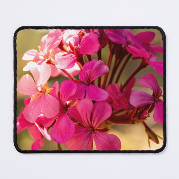 Item preview, Cluster of Pink Flowers – Close-Up Beauty of Australian Wildlife designed and sold by CandMe-Prints.