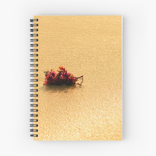 Item preview, Lonesome coral on Australian beach designed and sold by CandMe-Prints.