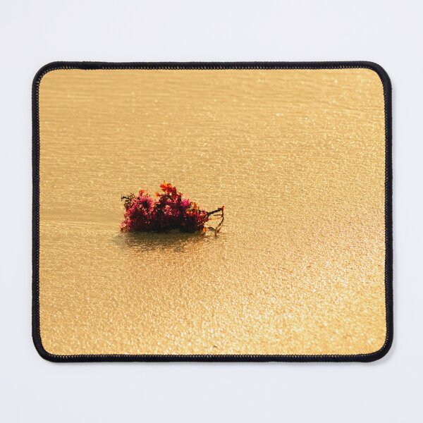 Item preview, Lonesome coral on Australian beach designed and sold by CandMe-Prints.