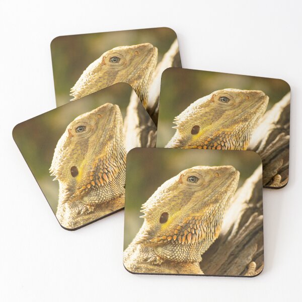 Item preview, Majestic Large Lizard in Natural Habitat designed and sold by CandMe-Prints.