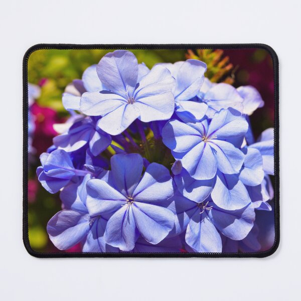 Item preview, Cluster of Vibrant Blue Flowers designed and sold by CandMe-Prints.