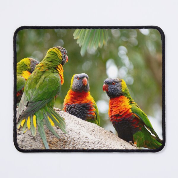 Item preview, Australian Ringneck Birds Perched on a Rock designed and sold by CandMe-Prints.