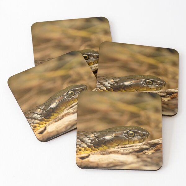 Item preview, Close-Up of a Snake’s Scales and Eyes designed and sold by CandMe-Prints.