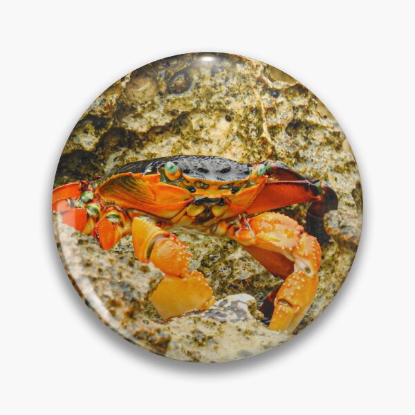 Item preview, Bright Orange Crab Among Coastal Rocks designed and sold by CandMe-Prints.