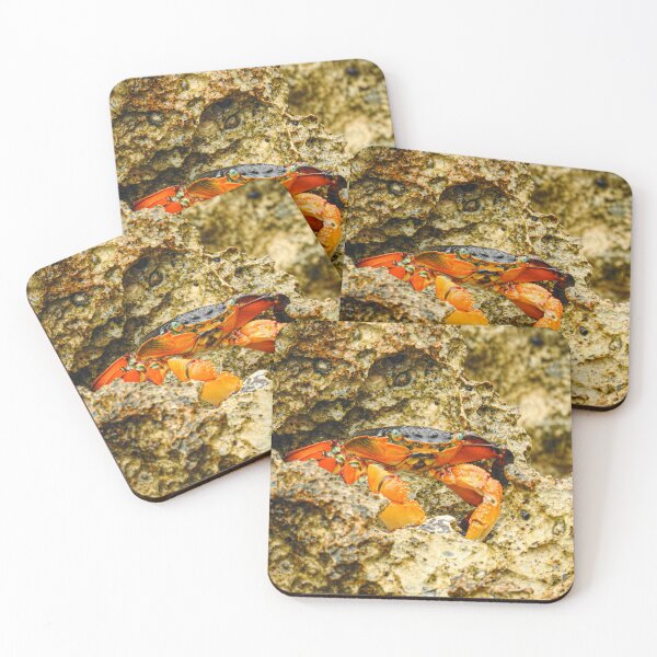 Item preview, Bright Orange Crab Among Coastal Rocks designed and sold by CandMe-Prints.