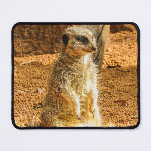 Item preview, Awkwardly Sitting Meerkat Caught in the Moment designed and sold by CandMe-Prints.