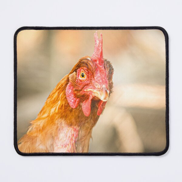 Item preview, Close-Up of a Curious Chicken designed and sold by CandMe-Prints.