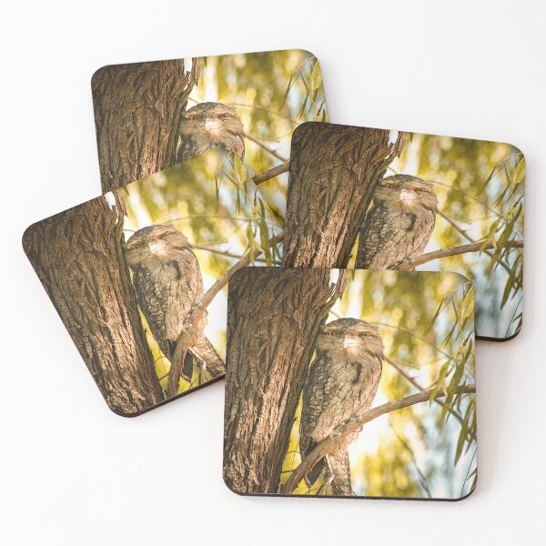 Item preview, Tawny Frogmouth Bird Perched on a Tree Branch designed and sold by CandMe-Prints.