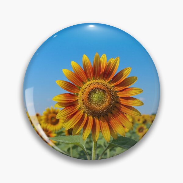 Item preview, Sunflowers in autumn designed and sold by LilithsDesires.