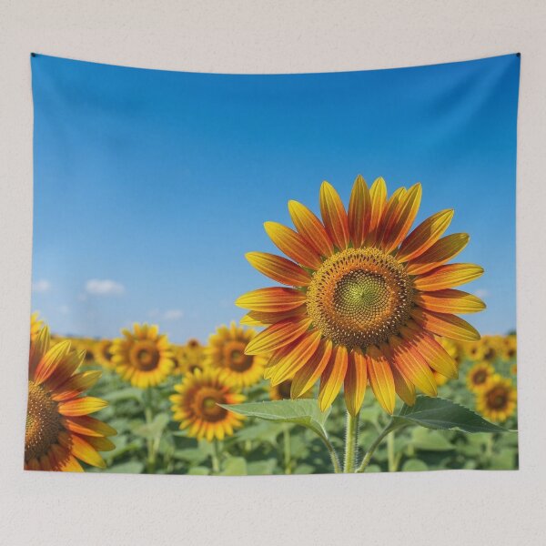 Item preview, Sunflowers in autumn designed and sold by LilithsDesires.