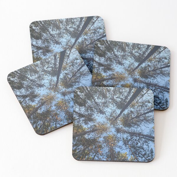 Item preview, amongst trees- frog point of view designed and sold by MarijaArt.