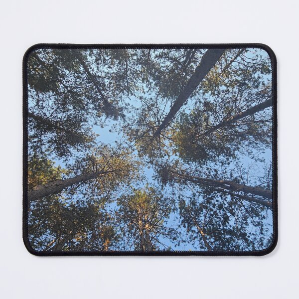Item preview, amongst trees- frog point of view designed and sold by MarijaArt.