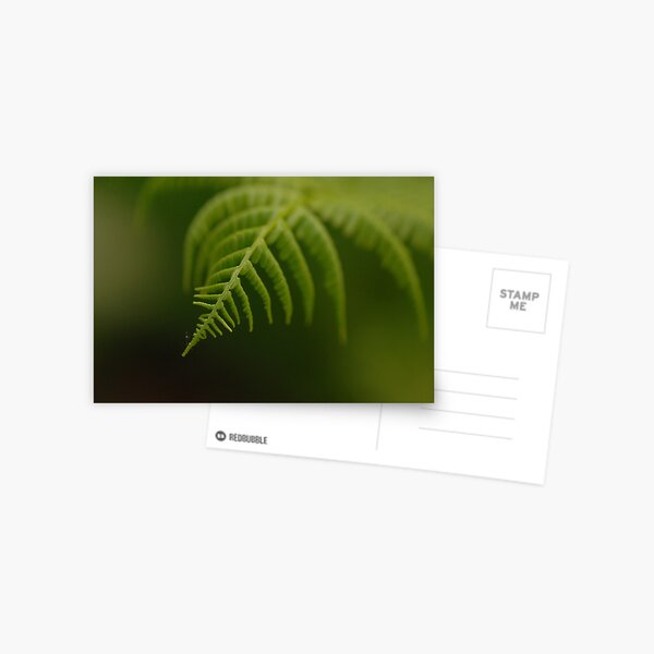 Fern Leaf Postcard