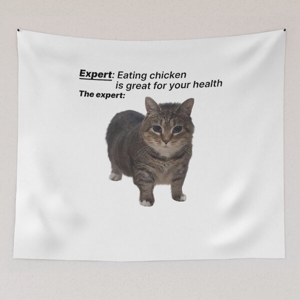 Item preview, Funny Meme Uia Cat Expert designed and sold by AShanDome.