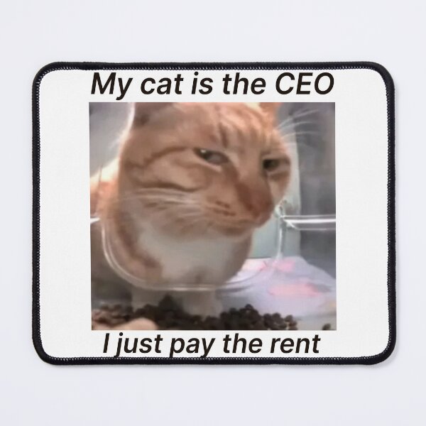 Item preview, Funny Meme My Cat Is The CEO designed and sold by AShanDome.