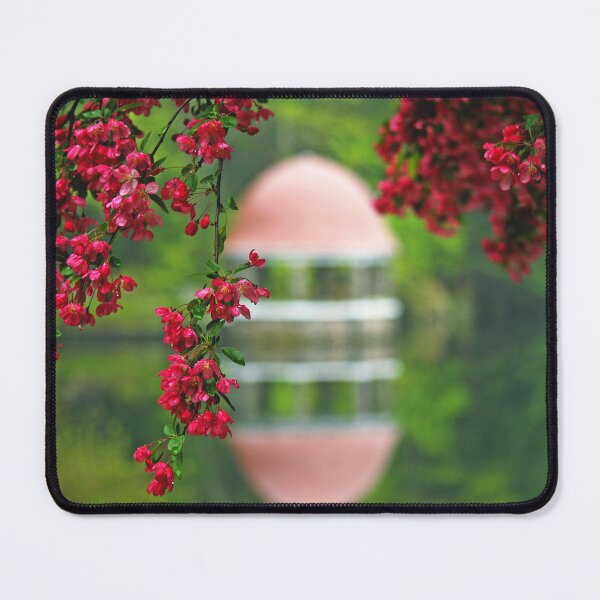 Item preview, Dogwood in bloom at Coggshall Park Fitchburg MA designed and sold by Willow Sage.
