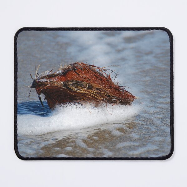 Item preview, Stranded Coconut designed and sold by Photos By Michel.