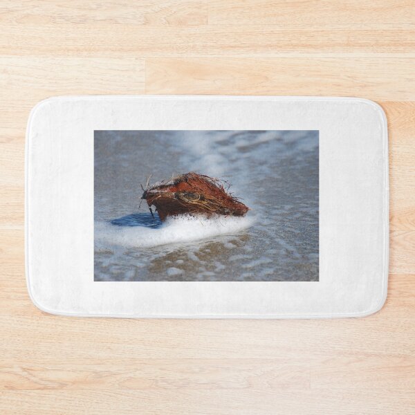 Item preview, Stranded Coconut designed and sold by Photos By Michel.