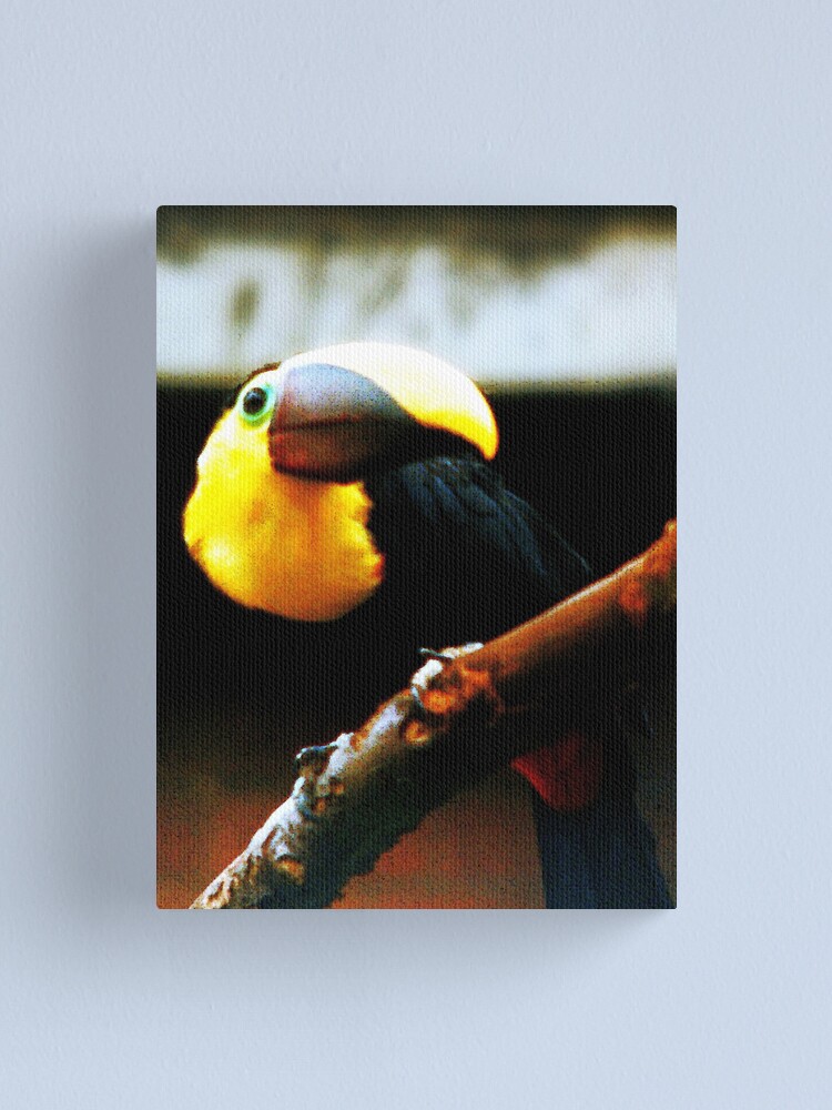 Alternate view of Hello Canvas Print