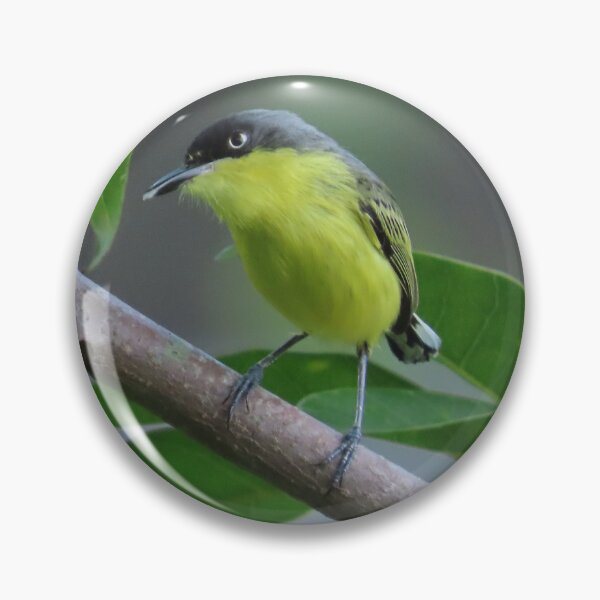 Item preview, Common Tody Flycatcher Bird designed and sold by Go Karillo.