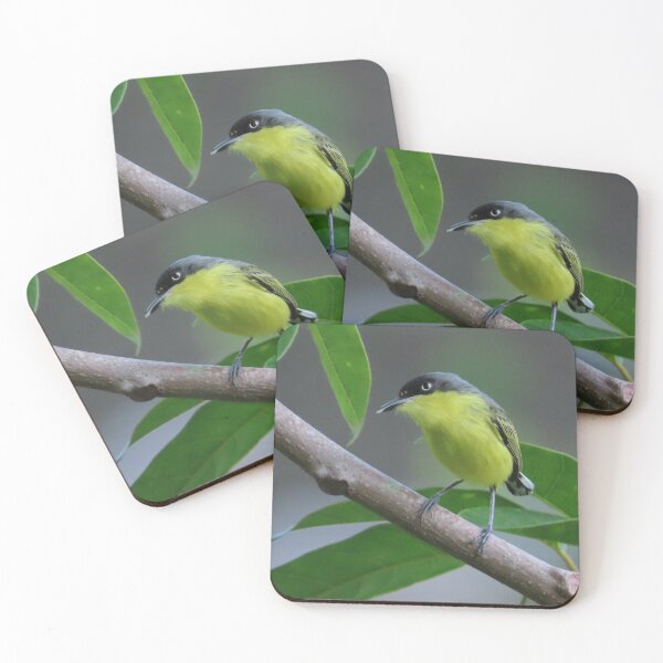 Item preview, Common Tody Flycatcher Bird designed and sold by Go Karillo.
