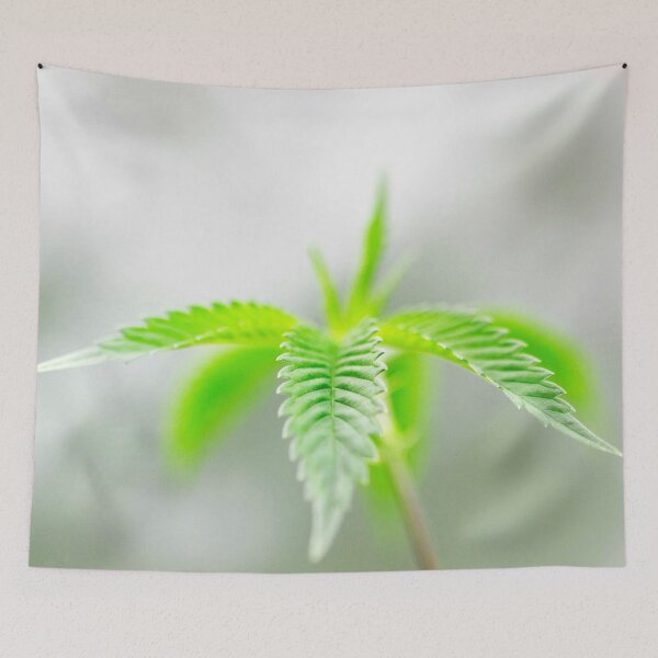 Item preview, Untitled designed and sold by DevilsLettucePh.