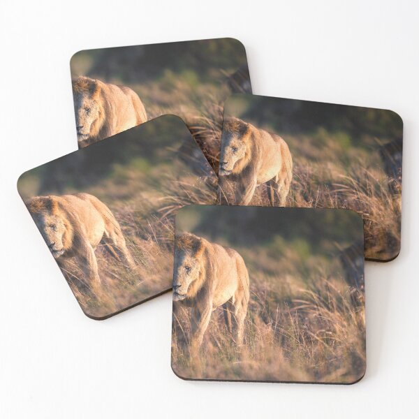 Item preview, Two Male Lions on the Prowl Masai Mara Kenya designed and sold by PhotoArt by Joan Carroll.