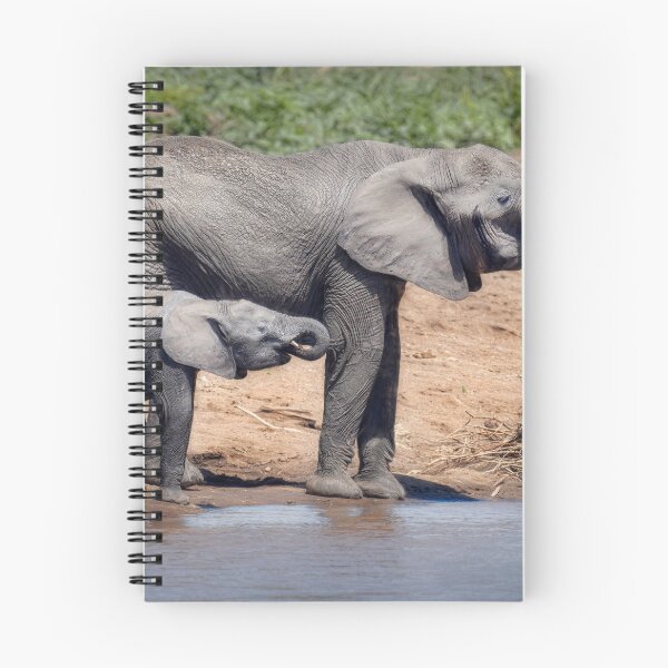 Item preview, Like Mother Like Daughter Masai Mara Kenya designed and sold by PhotoArt by Joan Carroll.