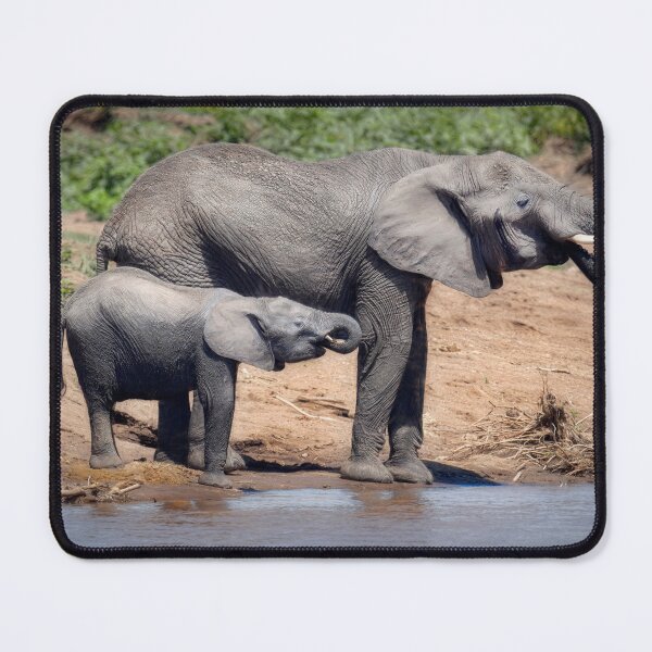 Item preview, Like Mother Like Daughter Masai Mara Kenya designed and sold by PhotoArt by Joan Carroll.
