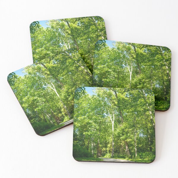 Item preview, Walk through the woodland cathedral designed and sold by Joel Bader.