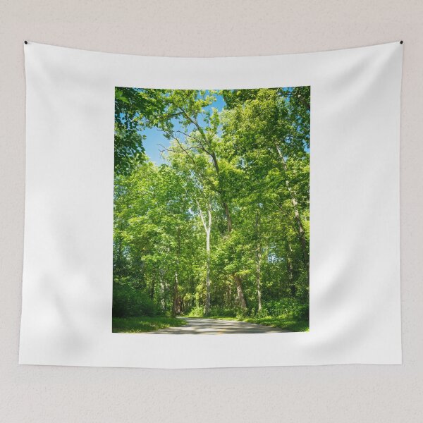 Item preview, Walk through the woodland cathedral designed and sold by Joel Bader.