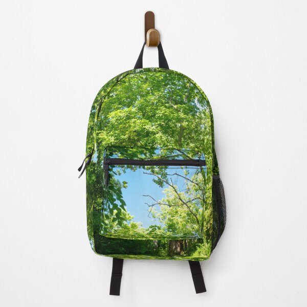 Item preview, Walk through the woodland cathedral designed and sold by Joel Bader.