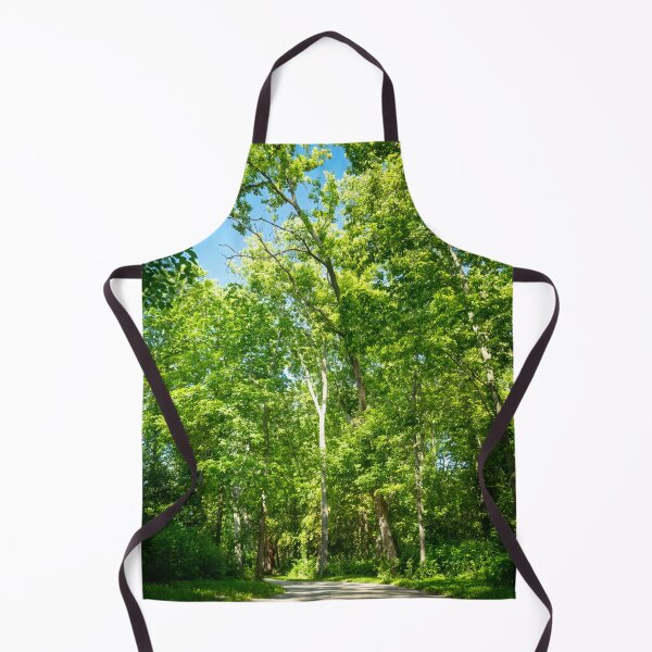 Item preview, Walk through the woodland cathedral designed and sold by Joel Bader.