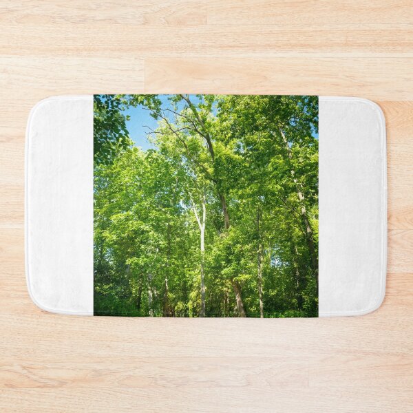 Item preview, Walk through the woodland cathedral designed and sold by Joel Bader.