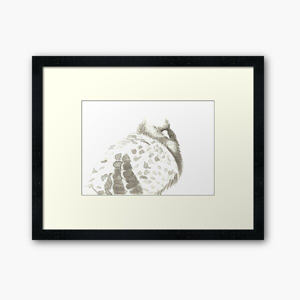 Ink, black and white drawing of pigeon Framed Art Print