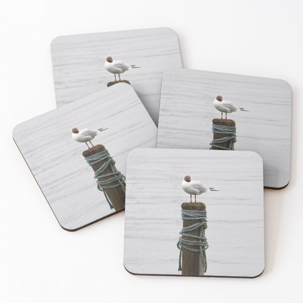 Item preview, Pile top. Black-headed gull designed and sold by Jouko Lehto Photography.