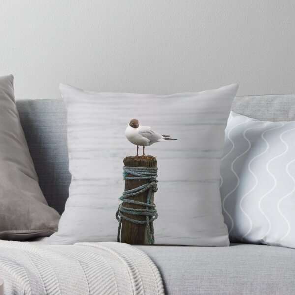 Item preview, Pile top. Black-headed gull designed and sold by Jouko Lehto Photography.