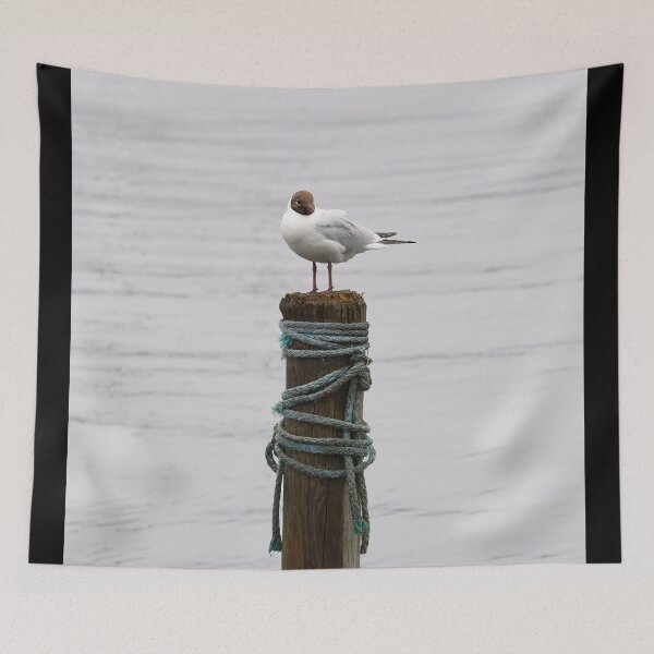 Item preview, Pile top. Black-headed gull designed and sold by Jouko Lehto Photography.