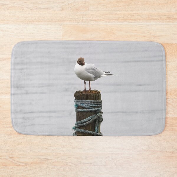 Item preview, Pile top. Black-headed gull designed and sold by Jouko Lehto Photography.
