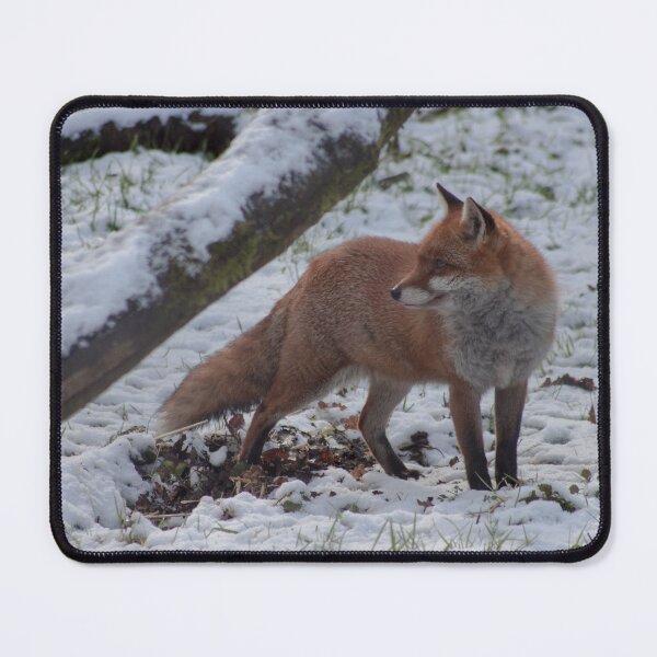 Item preview, Red Fox in Snow designed and sold by xesh.