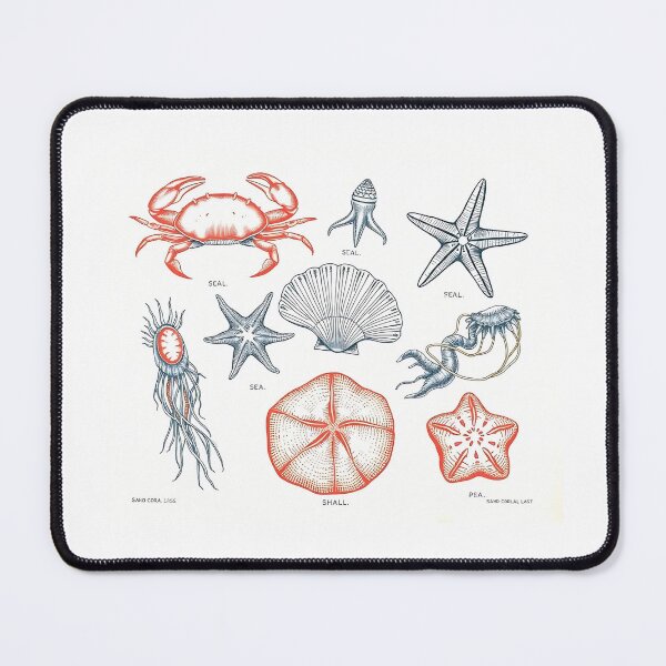 Item preview, Marine fauna – crabs, starfish & mussels designed and sold by Zazeyy.