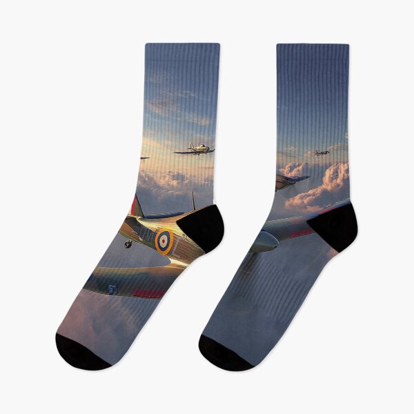 Item preview, Battle of Britain Icons Legacy in the Skies designed and sold by Skyframe Aviation.
