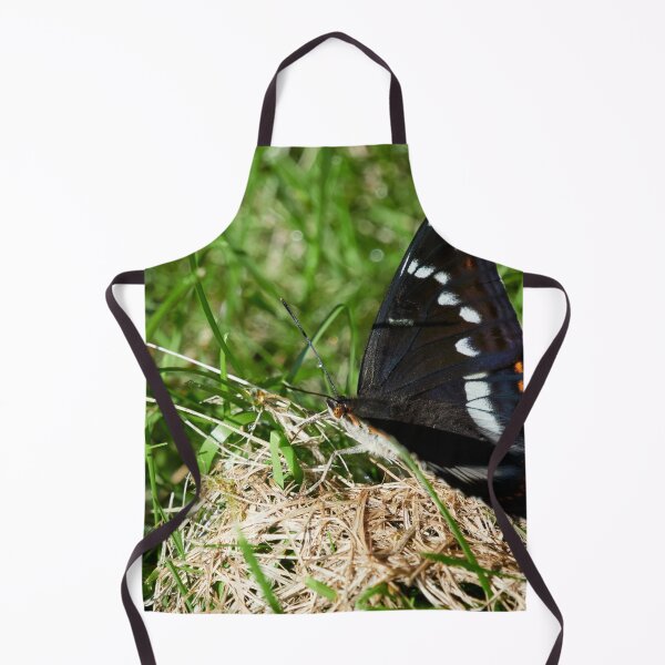 Item preview, Poplar Admiral profile designed and sold by Jouko Lehto Photography.