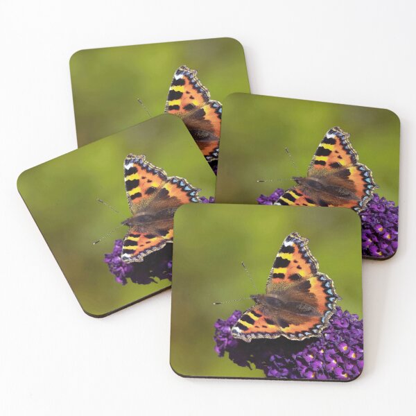 Item preview, Small Tortoiseshell butterfly on a Buddleia designed and sold by Tom McPherson Photography.