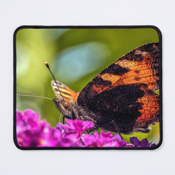 Item preview, Small Tortoiseshell on Buddleia designed and sold by Tom McPherson Photography.