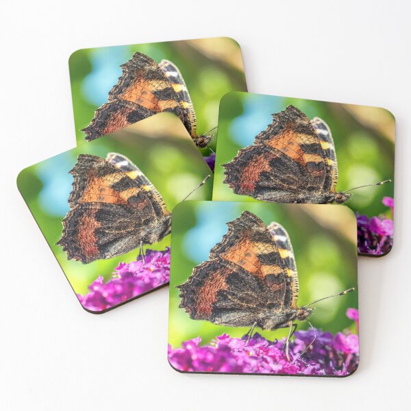 Item preview, Small Tortoiseshell on Buddleia designed and sold by Tom McPherson Photography.