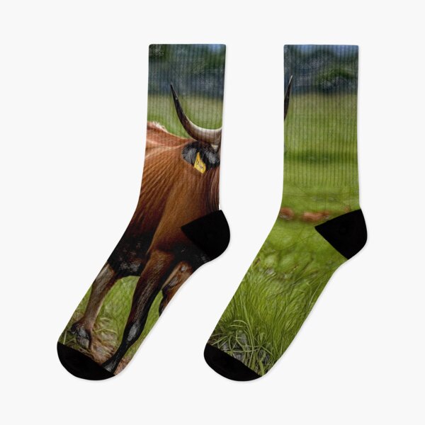 Item preview, The Senepol breed developed on the Caribbean Island of St. Croix#2 designed and sold by Helios Be. Lavsh.