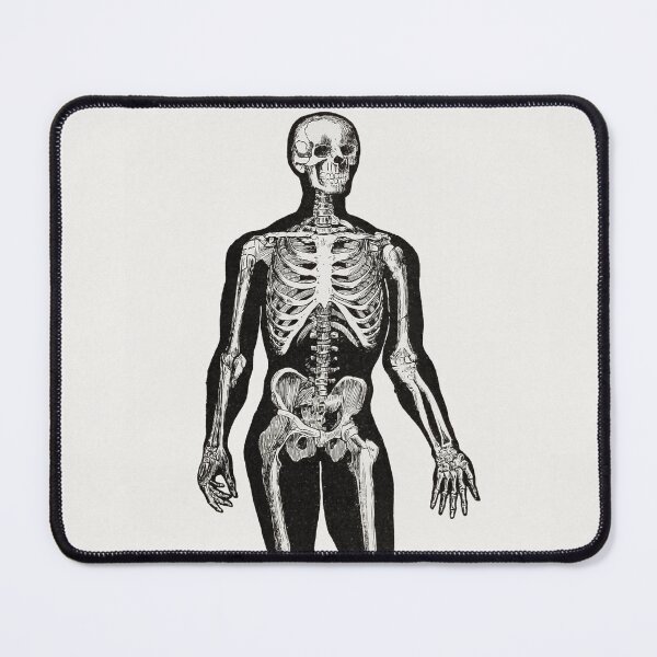 Item preview, Human Skeleton Standing designed and sold by Aesthetic Archive.