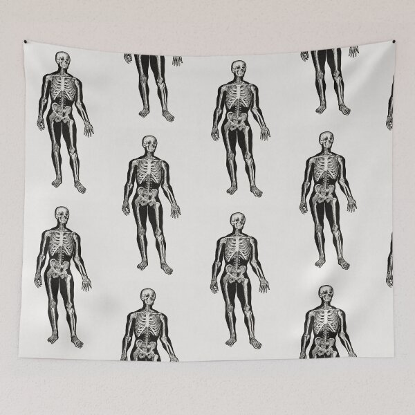Item preview, Human Skeleton Standing  designed and sold by Aesthetic Archive.